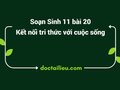 Soạn Sinh 11 Bài 20 Kết nối tri thức: Sinh trưởng và phát triển
