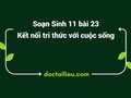 Soạn Sinh 11 Bài 23 KNTT:  Thực hành Quan sát biến thái ở động vật