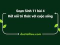 Soạn Sinh 11 Bài 4 Kết nối tri thức: Quang hợp ở thực vật