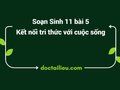 Soạn Sinh 11 Bài 5 Kết nối tri thức: Thực hành quang hợp ở thực vật