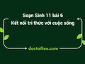 Soạn Sinh 11 Bài 6 Kết nối tri thức:  Hô hấp ở thực vật