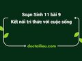 Soạn Sinh 11 Bài 9 Kết nối tri thức: Hô hấp ở động vật
