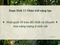 Soạn Sinh 11 Bài 1 Chân trời: Khái quát về trao đổi chất và chuyển hóa
