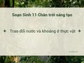 Soạn Sinh 11 Bài 2 Chân trời: Trao đổi nước và khoáng ở thực vật