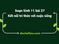 Soạn Sinh 11 Bài 27 Kết nối tri thức: Sinh sản ở động vật