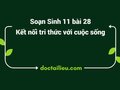 Soạn Sinh 11 Bài 28 KNTT: Mối quan hệ giữa các quá trình sinh lí
