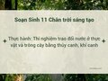 Soạn Sinh 11 Bài 3 Chân trời: Thực hành Thí nghiệm trao đổi nước