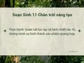 Soạn Sinh 11 Bài 5 Chân trời: Thực hành Quan sát lục lạp