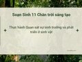 Soạn Sinh 11 Bài 22 CTST: Thực hành Quan sát sự sinh trưởng và phát triển