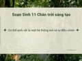 Soạn Sinh 11 Bài 27 Chân trời: Cơ thể sinh vật là một hệ thống mở