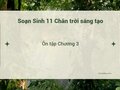 Soạn Sinh 11 Chân trời sáng tạo bài Ôn tập Chương 3