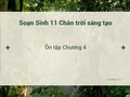 Soạn Sinh 11 Chân trời: sáng tạo Ôn tập Chương 4