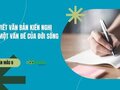Viết văn bản kiến nghị về một vấn đề của đời sống