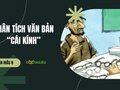 Phân tích văn bản Cái kính