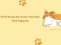Đề thi thử Toán vào lớp 10 lần 3 năm 2024 trường THCS Thắng Nhì
