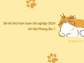 Đề thi thử tốt nghiệp THPT 2024 môn Toán Sở Hải Phòng lần 1