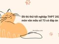 Đề thi thử tốt nghiệp THPT 2024 môn văn mẫu số 73 có đáp án
