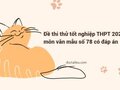 Đề thi thử tốt nghiệp THPT 2024 môn văn mẫu số 78 có đáp án