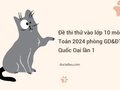 Đề thi thử vào lớp 10 môn Toán 2024 phòng GD&ĐT Quốc Oai lần 1