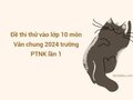 Đề thi thử vào lớp 10 môn Văn chung 2024 trường PTNK lần 1