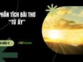 Phân tích bài thơ Từ ấy