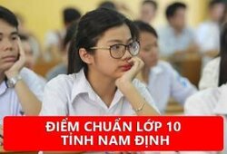 Điểm chuẩn lớp 10 tỉnh Nam Định năm 2019
