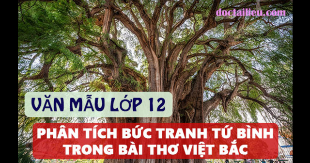 Phân Tích Bức Tranh Thiên Nhiên Tứ Bình Trong Bài Việt Bắc 7841