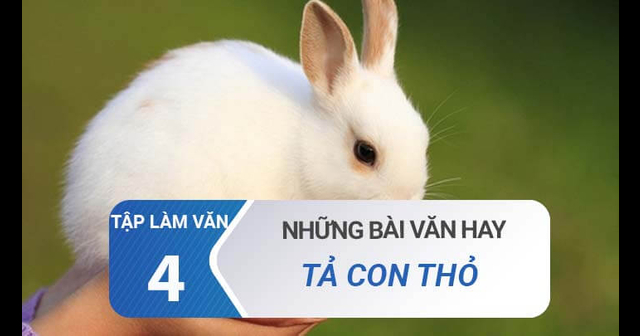 Dàn ý bài văn miêu tả con vật lớp 4? - Angkoo