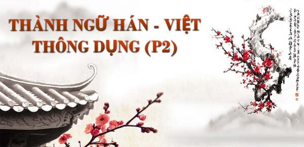 Có bao nhiêu thành ngữ hán việt phổ biến mà người Việt thường sử dụng?
