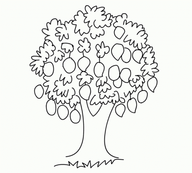 Vẽ cây dừa dễ dàng cho bé – YeuTre.Net