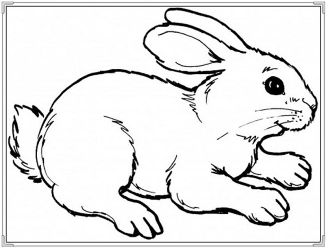 Tranh tô màu chú thỏ đơn giản