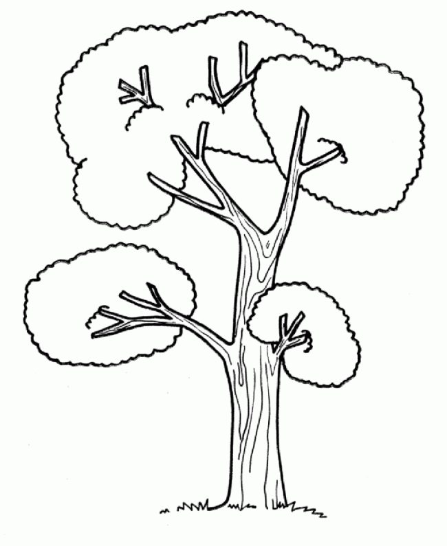 Xem hơn 100 ảnh về hình vẽ cái cây đẹp - daotaonec