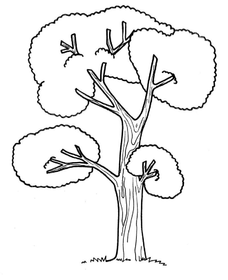 Chi tiết 77 vẽ cây đẹp đơn giản mới nhất  Tin Học Vui