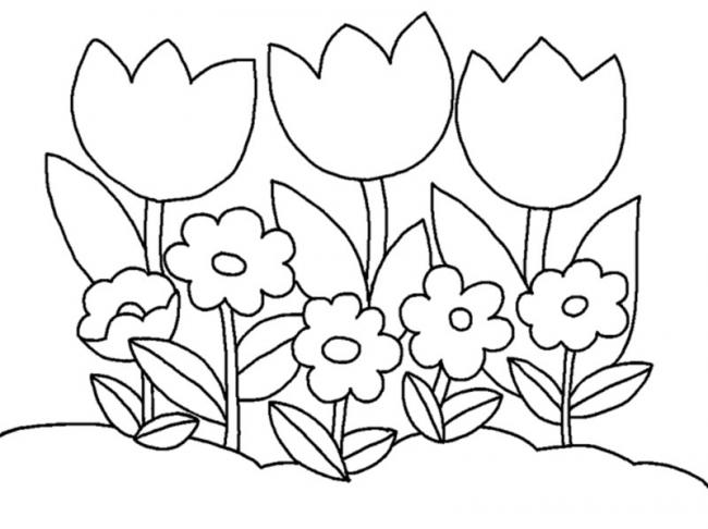 50 Tranh tô màu hoa tulip xin tươi nhất dễ tải dễ in Update 2022  Văn Hóa  Học
