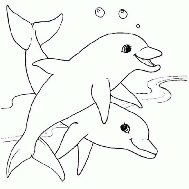 Cách vẽ cá heo  Dạy Vẽ