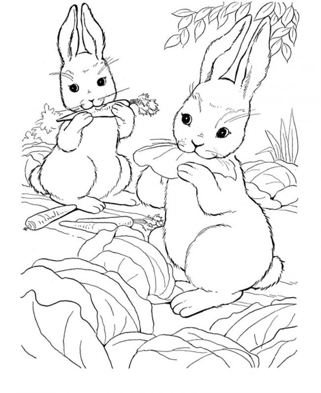 Thỏ mẹ và thỏ con