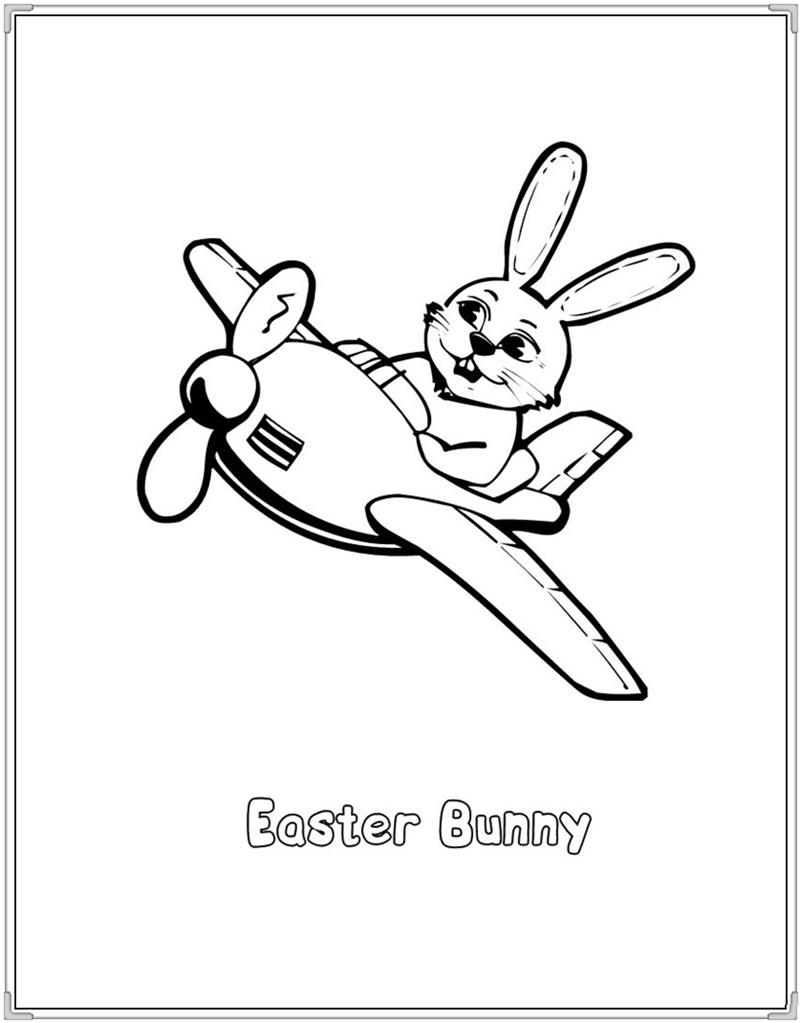 VẼ CON THỎ - TÔ MÀU CON THỎ - Cách Vẽ Con Thỏ Ăn Củ Cà Rốt - How To Draw A  Bunny Rabbit - YouTube
