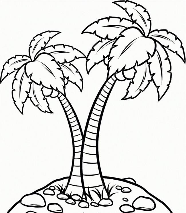 Cây dừa là biểu tượng đặc trưng của vùng nhiệt đới, có thể mang đến cho bạn cảm giác thanh thản và tươi mới. Tham gia khóa học \
