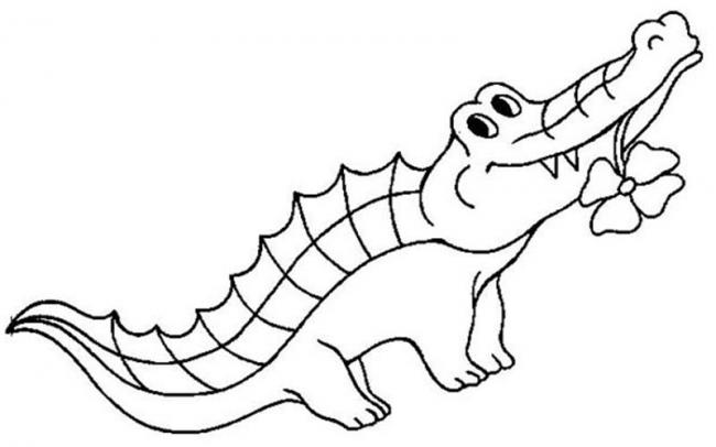 Trang tô màu của một con cá sấu