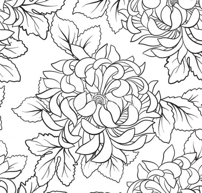 Tranh tô màu số hóa Hoa cúc T560 | LIMART