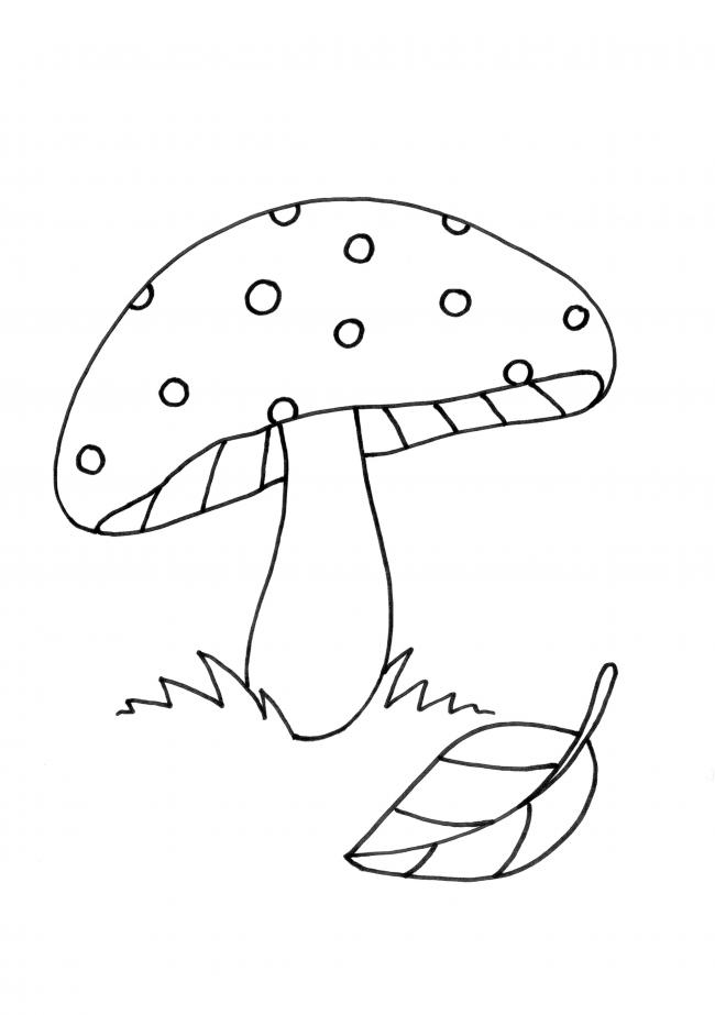 How to tát DRAW mushroom step by step  Cách vẽ cây nấm đơn giản và giản dị  YouTube