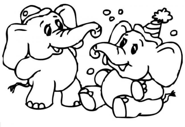 Hai bạn voi cùng nhau chơi vui vẻ chưa kìa.