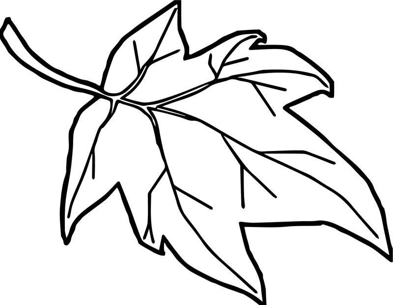 Cách vẽ một phông nền mùa thu cùng với những chiếc lá trong Adobe  Illustrator