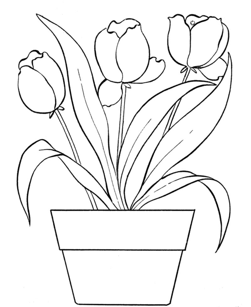 Bộ giành tô color hoa tulip mang đến bé xíu nhiều chủ thể kích ứng sáng sủa tạo