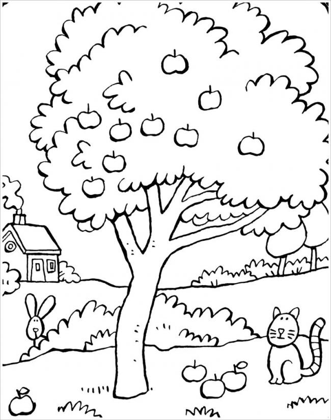 hình ảnh mèo con và thỏ trong vườn táo