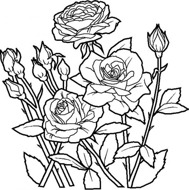 Hoa hồng luôn là đề tài được săn đón và săn lùng nhất trong các bức tranh của các nghệ sỹ. Thưởng thức bức tranh vẽ vườn hoa hồng siêu hot này, để được đắm mình trong vẻ đẹp đầy sức sống của những cánh hoa và màu sắc rực rỡ.