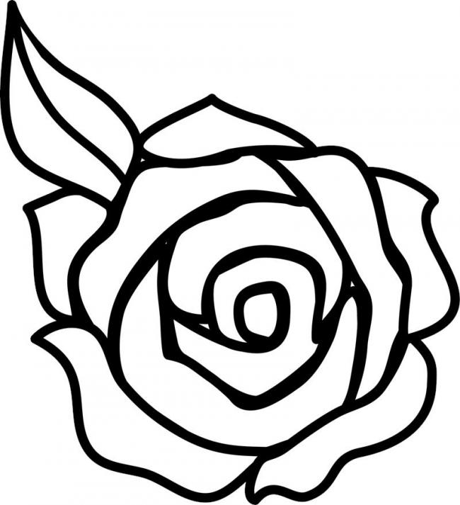 Học vẽ 8 cách vẽ hoa hồng dễ như ăn kẹo Hình vẽ hoa hồng Hình vẽ hoa Hoa hồng