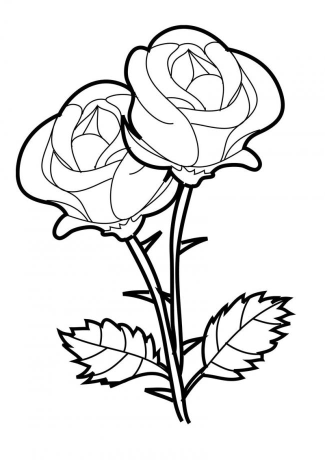 Vẽ Và Tô Màu Bó Hoa HồngDraw bouquet of roses  YouTube