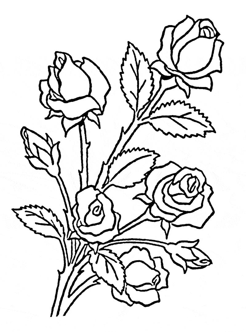 Xem hơn 100 ảnh về hình vẽ bó hoa  daotaonec