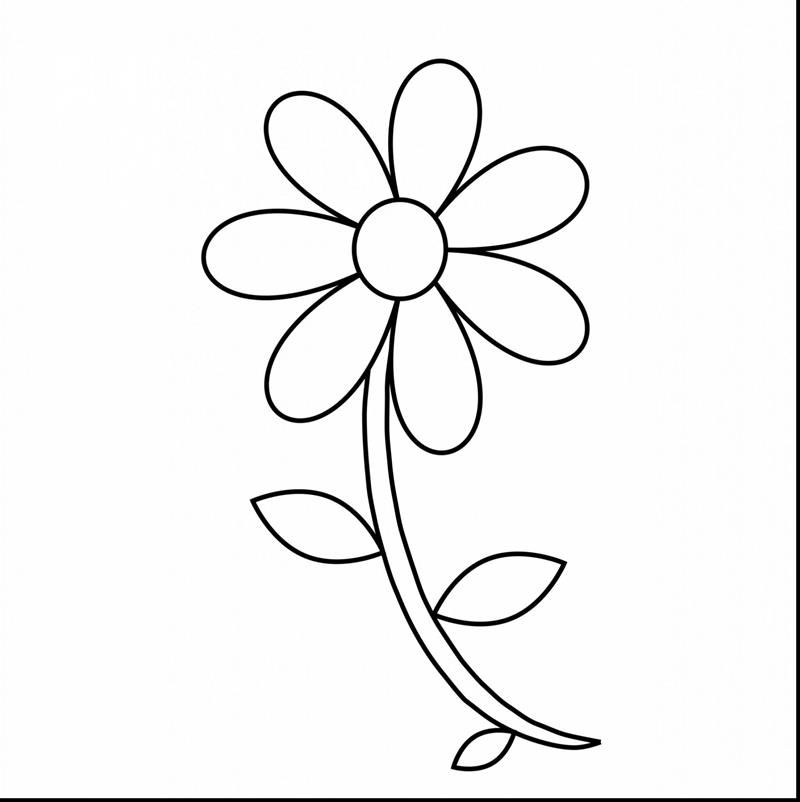 Hướng dẫn vẽ hoa đồng tiền Vẽ hoa đồng tiền đơn giản Vẽ hoa đồng tiền  how to draw daisy flower  YouTube